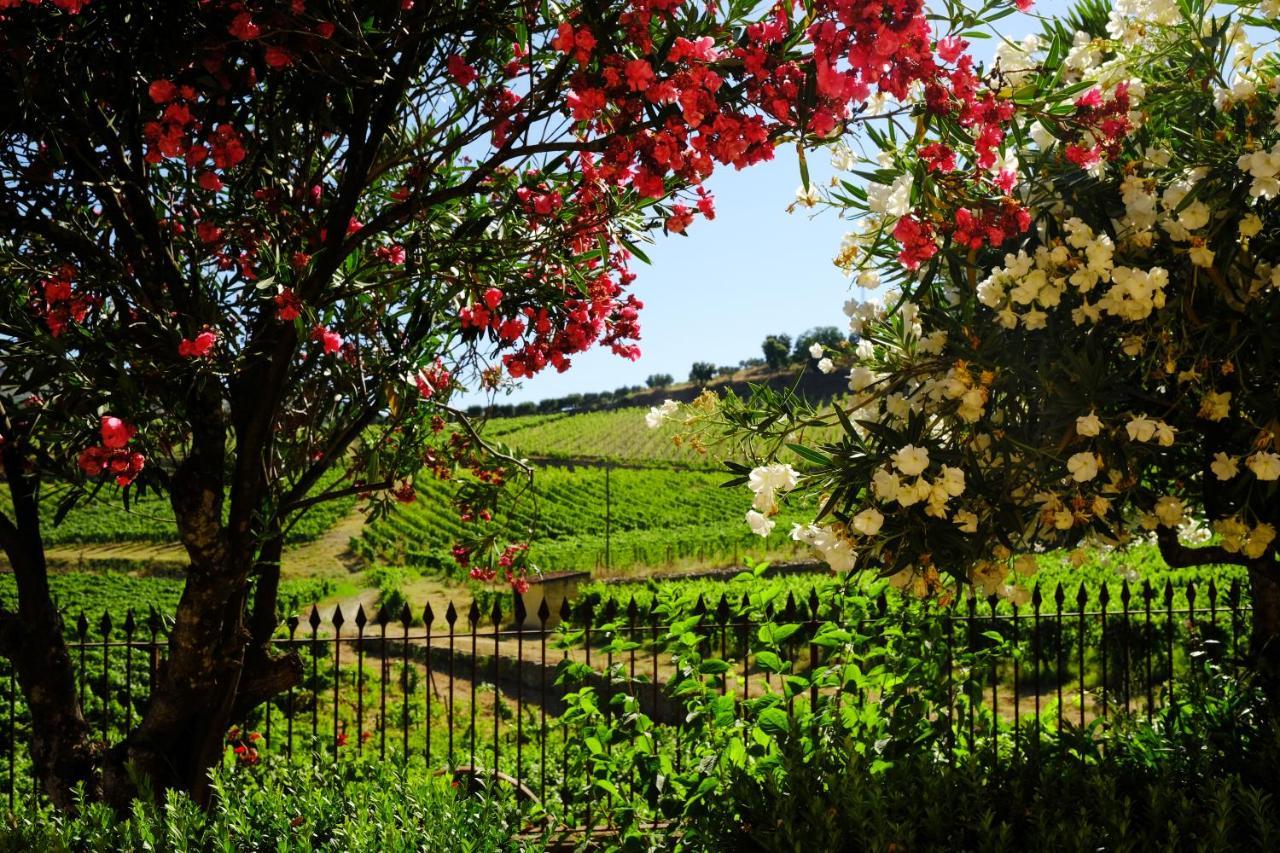 Quinta Do Monte Travesso - Country Houses & Winery Tabuaco Exterior photo
