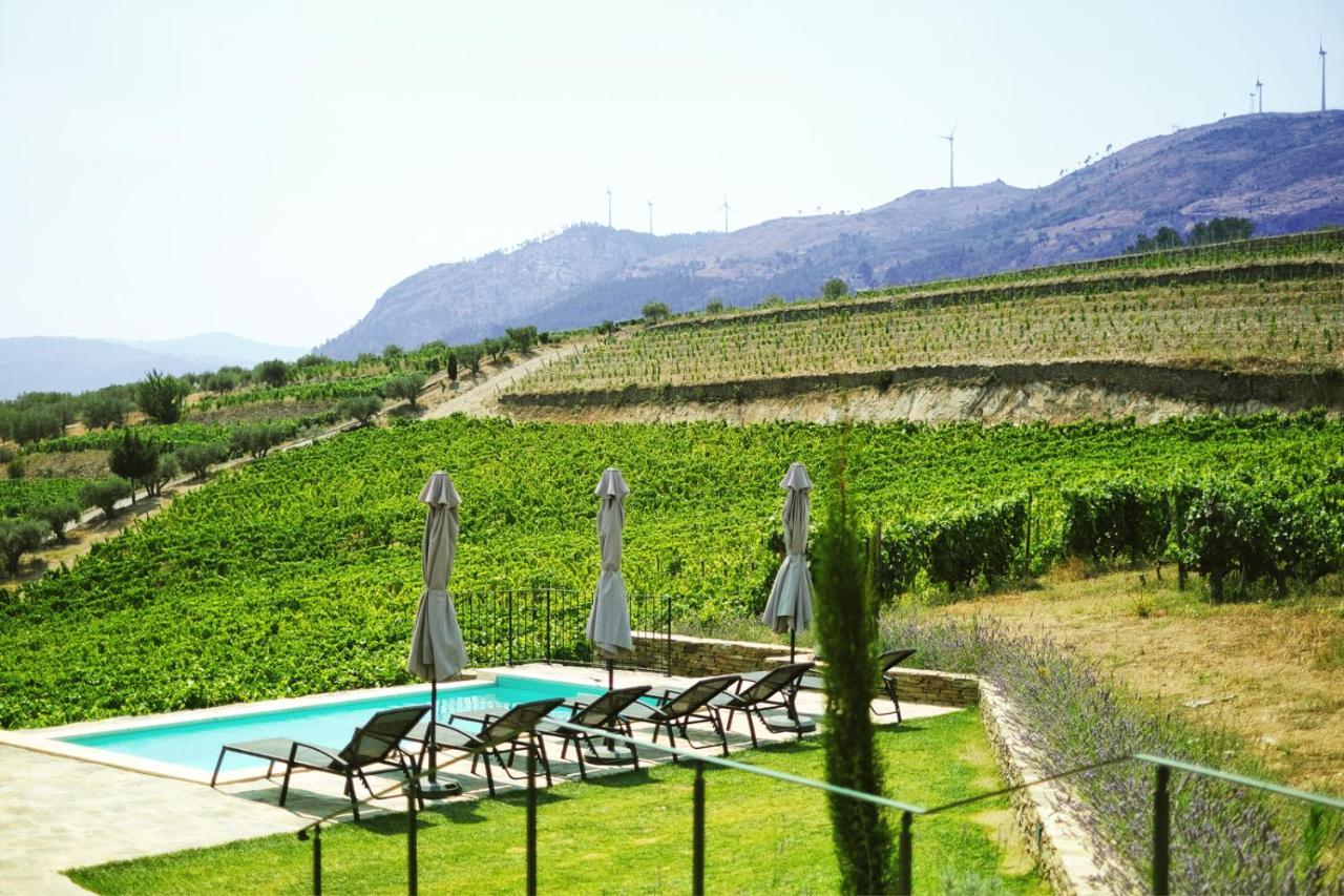 Quinta Do Monte Travesso - Country Houses & Winery Tabuaco Exterior photo
